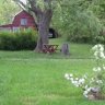 Little Red Barn