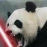 DarthPanda