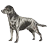 teeta6404's Avatar