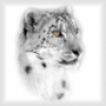 MzSnowleopard