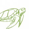 RC turtle