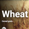 Wholegrain