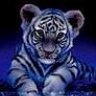 Mythical Tiger
