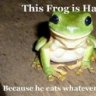 27Froggie29