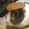 Pancake Rabbit