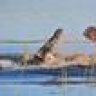 dogfish