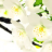 genlablanc