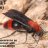 The Velvet Ant