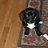 arwenc