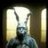 Artemis_MD