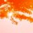 sunbalm