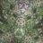 verysylvan